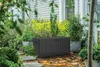 A dark gray Keter garden storage box is placed on a patio in a garden setting, surrounded by plants and fallen leaves. Podgląd zdjęcia produktu