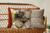 MuchoWow® Zierkissen Sofakissen Wohnzimmer Dekokissen 45x45 Produktbild-Vorschau 5