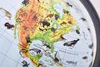 Zoologický glóbus se zvířaty 22 cm Náhled obrázku produktu 6