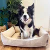 A border collie dog sits happily in a beige corduroy dog bed, with large potted plants in the background. Náhled obrázku produktu