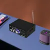 Wzmacniacz mocy 12V Mini HiFi Cyfrowy Wzmacniacz Audio Podgląd zdjęcia produktu 9