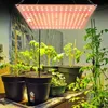 A grow light illuminates several potted tomato plants indoors. Náhľad obrázku produktu