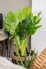 Umělá rostlina MONSTERA, 70 cm Náhled obrázku produktu 12
