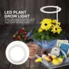 Časovo riadené svetlo pre rast rastlín Rastová lampa LED Náhľad obrázku produktu 10
