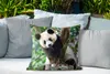 MuchoWow® Outdoor Kissen - Panda - Tiere - Dschungel - Produktbild-Vorschau 4