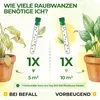 Orius Raubwanzen gegen Thripse - 1x Röhrchen - Thripse Produktbild-Vorschau 3