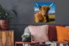 MuchoWow® Poster Schottische Highlander - Tiere - Gras Produktbild-Vorschau 2