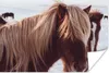 MuchoWow® Poster Pferde - Schnee - Braun 30x20 cm - Plakate Produktbild-Vorschau 1