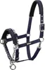 Halfter Control Pin Buckle Basics mit Führkette 380 Produktbild-Vorschau 3