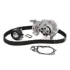 DAYCO KTBWP3211 Zahnriemensatz + Wasserpumpe für RENAULT Produktbild-Vorschau 4