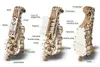 UGEARS 3D-Puzzle Niner 292 Teile Produktbild-Vorschau 15
