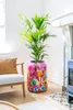 TS Collection - Pot de fleurs haut Fiesta fuchsia - 30x42 Voir les images du produit 2