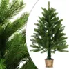 vidaXL Sapin de Noël artificiel Aiguilles naturelles 90 cm Voir les images du produit 14