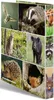 HERMA, animales del bosque en 2D, formato A4, para Vista previa de la imagen del producto 13
