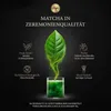 Mary Rose - Tè Matcha Cerimoniale TennoGiappone 30 g - Tè Anteprima dell’immagine prodotto 2