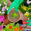 Biovita Gartenbau Vermiculit 1-5mm 5l Produktbild-Vorschau 9