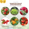 Solabiol Grundstoff Urtica Konzentrat - 1 Liter Produktbild-Vorschau 3