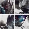 Bild auf Leinwand - Leinwandbild - Vogel Natur Feder - Produktbild-Vorschau 8