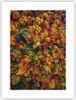 Poster - Poster ohne Rahmen - Herbst Perspektive Vogel - Produktbild-Vorschau 1