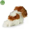 Peluche King Charles Spaniel 25 Cm Ecologico Anteprima dell’immagine prodotto 11