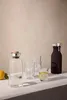 Bicchieri Eva Solo - 6 pezzi - 25 cl Anteprima dell’immagine prodotto 8