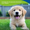 Canina Welpenmilch | 150g Produktbild-Vorschau 3