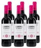 Camino de Castilla Tempranillo D.O. -trocken- (6 x 0,75L) Produktbild-Vorschau 1