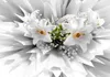 Vlies Fototapete - Floral Explosion 200x140 cm Blumen Produktbild-Vorschau 5