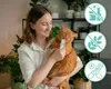 Friandise pour chats – Lick & Purr : Mousse au saumon Voir les images du produit 9