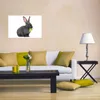 Wallario Poster - Süßes Kaninchen mit Grünzeug beim Produktbild-Vorschau 3