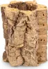 Korkeiche 'Mini', Länge ca. 10 cm, Durchmesser 5 bis 9 cm | Produktbild-Vorschau 5