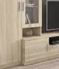 TOP Wohnwand Paris Anbauwand Wohnkombi Wohnzimmer Sonoma Produktbild-Vorschau 3