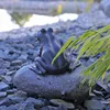 CLGarden Wasserspeier Figur Frosch auf Stein für Produktbild-Vorschau 3