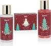 BRUBAKER Cosmetics Bade- und Dusch Geschenkset Winter Produktbild-Vorschau 2
