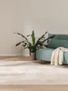 benuta Teppich Wohnzimmer Furry Beige 200x290 cm Produktbild-Vorschau 2