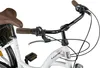 Licorne Bike Stella Plus Premium City Bike in Zoll Produktbild-Vorschau 6