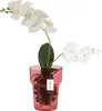 Skleněný obal na orchidej D15,5 cm H 18 cm červená pavučina Náhled obrázku produktu 1