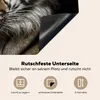 KitchenYeah© Herdabdeckplatte Tiger - Wilde Tiere - Porträt Produktbild-Vorschau 5