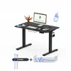 A black electric standing desk with a computer, keyboard, mouse, and a vase of flowers on top. Below the desk are accessories for cable management and a hook for headphones. Podgląd zdjęcia produktu