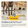 Bissell SpotClean Pet Pro, Handgeführt, Tief, Teppich, Produktbild-Vorschau 9