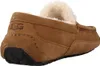 Ugg Ascot M Chestnut - Heren Pantoffel - 1101110-CHE Produktbild-Vorschau 3