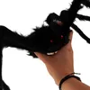 Halloween Riesiges Baby Olbrigm Spinne Anteprima dell’immagine prodotto 6