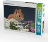CALVENDO Puzzle Chibs das Blumenhörnchen | 1000 Teile Produktbild-Vorschau 1