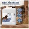 REAVET Leinöl für Pferde, 5-Liter-Kanister I Kaltgepresst, Produktbild-Vorschau 5
