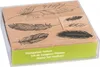 HEYDA 204888685 Stempel-Set Federn 12 x 10 x 3 cm Holz Produktbild-Vorschau 1