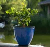 Jinfa Blumenkübel aus Kunststoff in glasierter Keramikoptik Produktbild-Vorschau 7