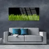 Acrylglasbilder 125x50 Wandbild Druck Gras Natur Produktbild-Vorschau 3