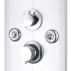 vidaXL Panneau de douche 25×43×120 cm argenté Voir les images du produit 5