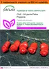 SAFLAX Garden in the bag - Chili - čili penis Petra Peppera Náhľad obrázku produktu 1