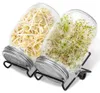 Ikodm Sprossenglas 2x1000ml mit Edelstahlsieb, Ständer und Produktbild-Vorschau 13